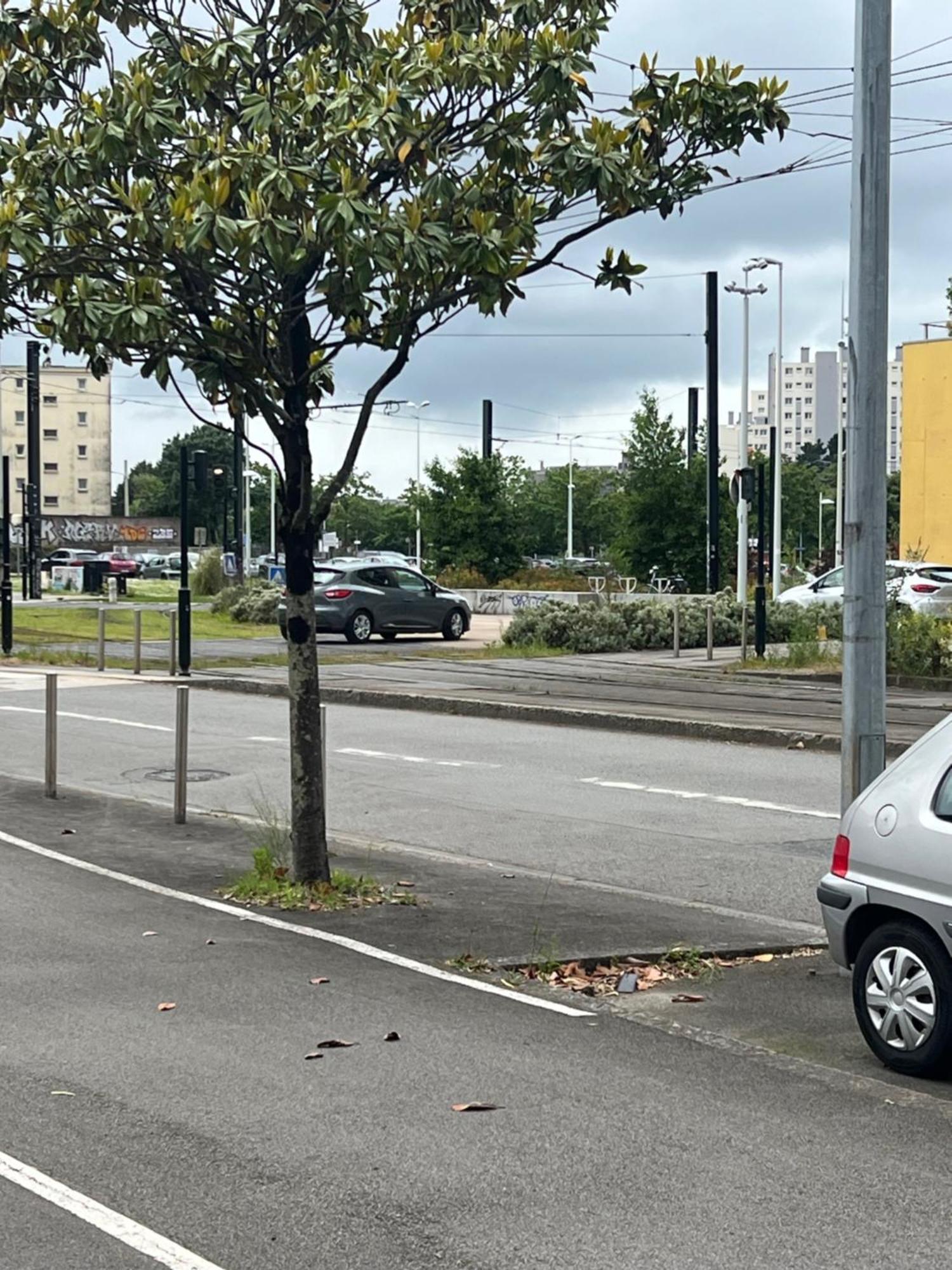 Ntes Reze 3P Box Gratuit 1 A 6 Pers Linge Fourni Lägenhet Exteriör bild